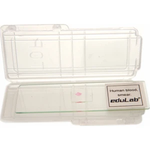 Daimi Kan Preparatı