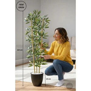 Bambu Ağacı 110 cm 3 Gövdeli