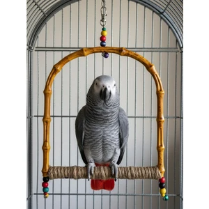 Büyük Bambu Papağan Salıncağı