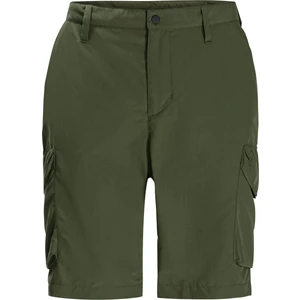 Jack Wolfskin Kalahari Cargo Erkek Yeşil Şort