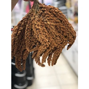 Kızıl Daldarı Tilki Kuyruğu 1 kg