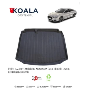 Citroen Ds 9 (2021+) Bagaj Havuzu