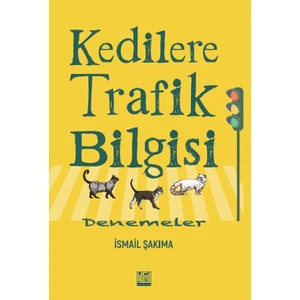 Kedilere Trafik Bilgisi: Denemeler