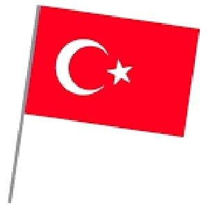 Bez Türk Bayrağı Sopalı 20X30 10 Adet