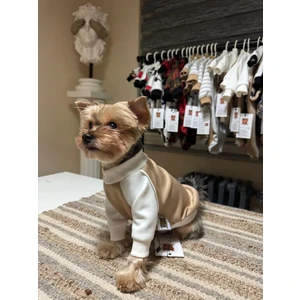 Bej Renk Basic Köpek Kıyafeti-Soft Touch Shirt L