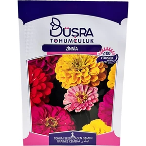 Zinnia Çiçek  Tohumu 25 Adet