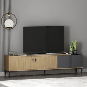 Modena Tv Ünitesi Sepet Antrasit