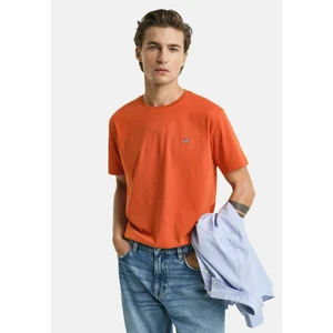 Bisiklet Yaka Erkek Basic T-Shirt