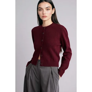 Regular Fit Bisiklet Yaka Hırka E3654AX26SP