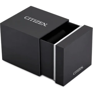 Citizen CA4500-91L Kol Saati