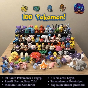 Pokemon Mini Figür 100'lük Koleksiyon