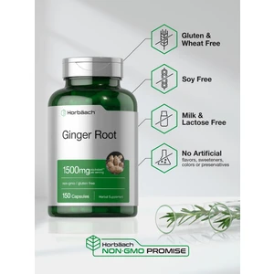 Horbäach Ginger Root Digestive System 150 Caps