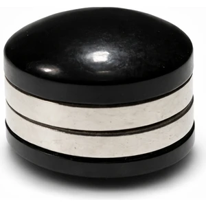 Lavin Scarfs Mıknatıs Iğne