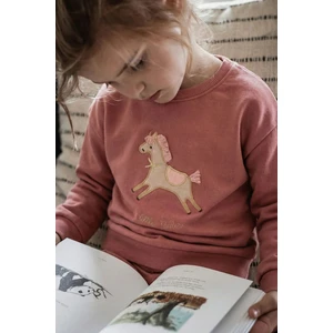 At Aplikeli Sweatshirt 1-6 Yaş Gül Kurusu