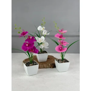 3'lü Yapay Mini Islak Orkide Seti 30 cm