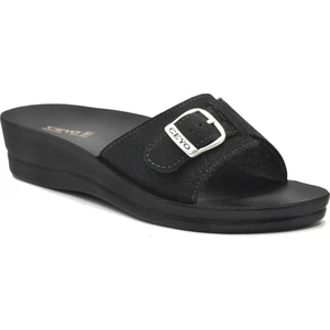 Minerva Tok. Kadın Terlik