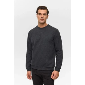 Antrasit Regular Düz Bisiklet Yaka Sweatshirt