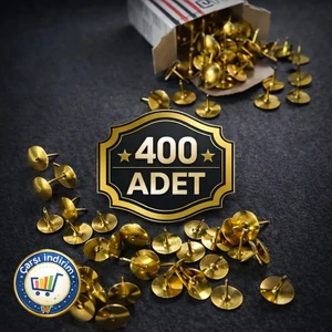 10 Kutu Raptiye Toplamda 400 Adet Raptiye