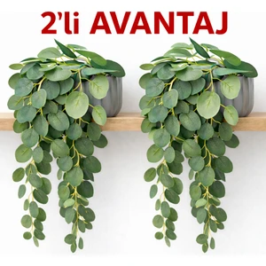 2'li Yapay Sarkıt Çiçek Söğüt Okaliptus