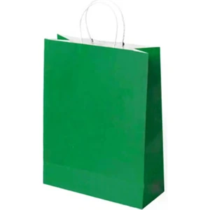 Burgu Saplı Karton Kraft Çanta 5'li