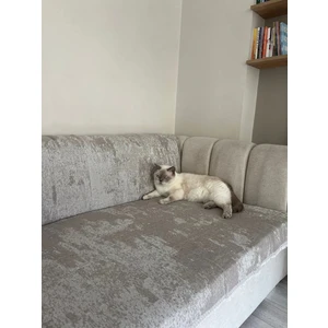 Koltuk Örtüsü Pamuk