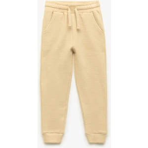 Pamuklu Şardonlu Cep Detaylı Basic Jogger Eşofman Altı