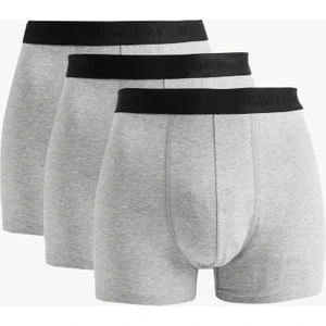 Basic Pamuklu 3'lü Boxer Seti