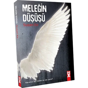 Meleğin Düşüşü - Susan Ee