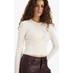 Regular Fit Bisiklet Yaka Triko Hırka A2076AX25WN