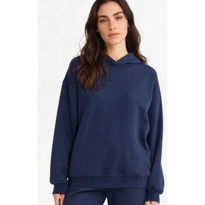 Relax Fit Kapüşonlu Basic Düz Kalın Sweatshirt D9935AX25WN
