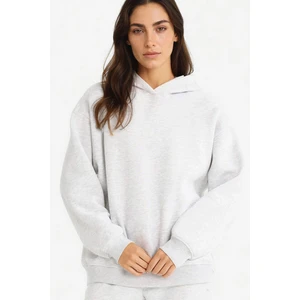 Relax Fit Kapüşonlu Basic Düz Kalın Sweatshirt D9935AX25WN