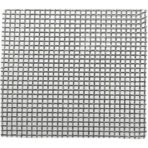 Marimo Scape Moss Teli 10'lu 5 x 5 cm