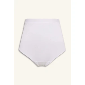 Pamuklu Brief Hamile Külodu H2279AX26SM