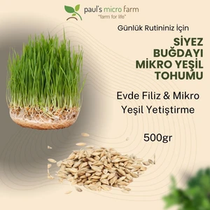 Pauls Micro Farm Atalık Siyez Buğdayı 500 gr