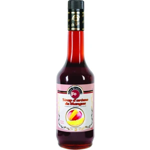 Mango Aromalı Şurup 700 ml