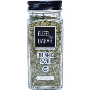 Güzel Ada Gıda Organik Nane 20gr