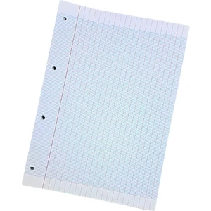 Fransız Seyes Çiftli Yedek (Double Paper) 100'LÜ