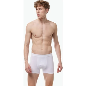 Erkek Extra Yumuşak Micro Modal Boxer 914