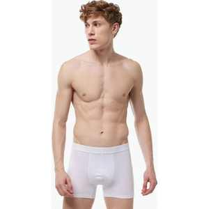 Erkek Extra Yumuşak Micro Modal Boxer 914