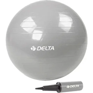 65 cm Gümüş Renk Pilates Topu + Pompa JRS660