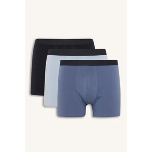 Regular Fit 3'lü Boxer G0045AX26SP