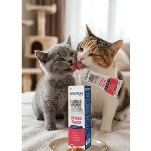 Kitten Paste Yavru Kediler Için Multivitamin Malt Macunu 100 gr