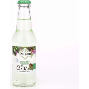 Çam Sakızı Aromalı Gazoz 200 Ml(24 Adet)