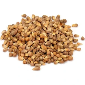 Mısır Kavurga (500 Gr)