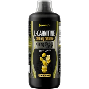 L-Carnitine Thermo 1000 Ml.
