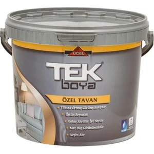 Plastik Özel Tavan Boyası 3,5 kg Beyaz
