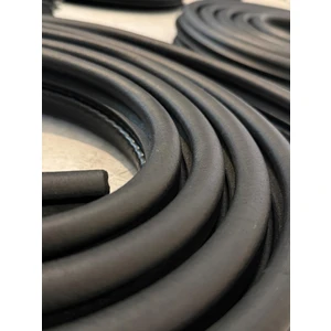 Ert Kauçuk Renault Megane 2 Kapı Fitili