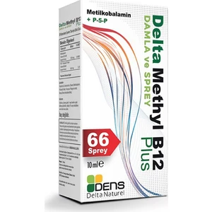 Dens Delta Naturel Methyl B12 Plus Methylcobalamin Sprey 10 ml