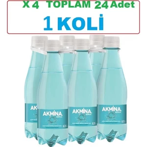 Maden Suyu 250 ml - 1 Koli