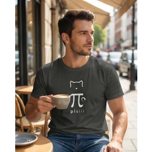 Premium Erkek T-Shirt (Pi )